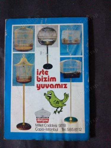 Kanaryalar Dünyası