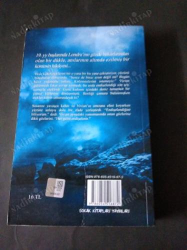DENİZİN KÜLLERİ