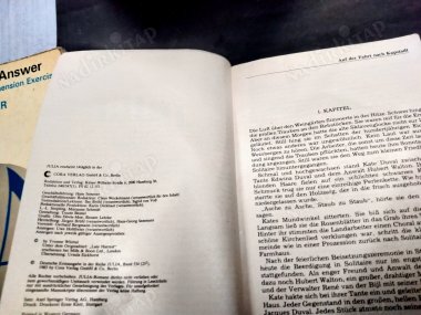 Julia Die schönsten Liebesromane