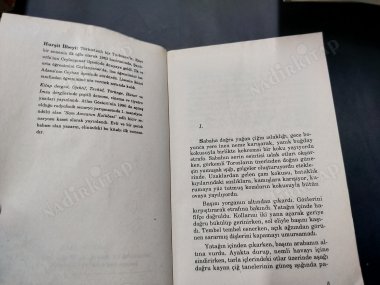 Yere Düşen Bulutlar