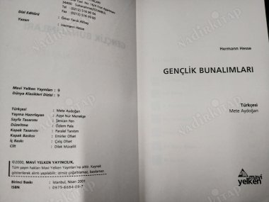 GENÇLİK BUNALIMLARI