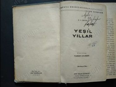 YEŞİL YILLAR