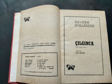Çılgınca