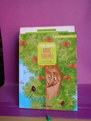 EVİNİ ARAYAN ARDIÇ TOHUMU 2.EL