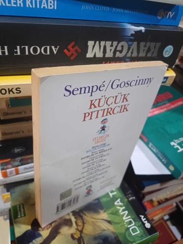 Küçük Pıtırcık