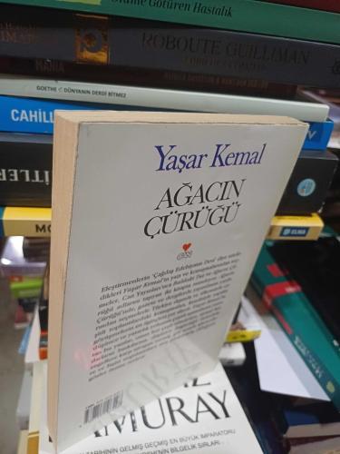 Ağacın Çürüğü