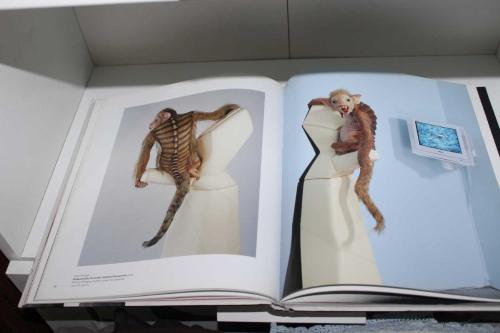 Nearly Beloved (Patricia Piccinini)