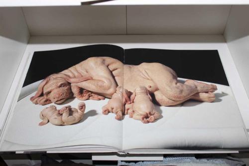 Nearly Beloved (Patricia Piccinini)