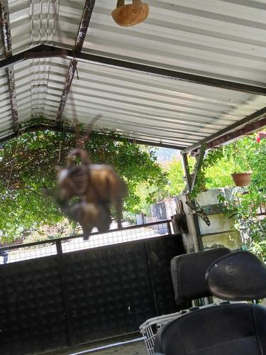 Bahçe veya balkon aksesuarı