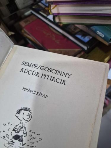 Küçük Pıtırcık