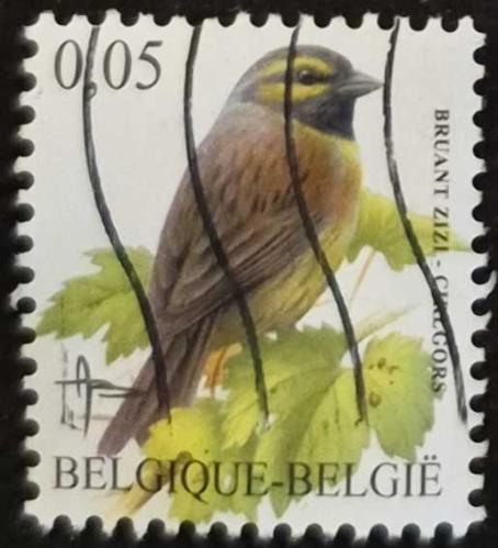 +++ BELÇİKA KUŞ (BAHÇE ÇİNTESİ)        2005   - DAMGALI