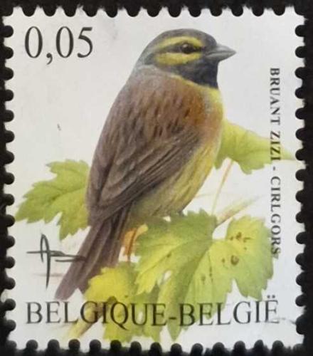+++ BELÇİKA KUŞ (BAHÇE ÇİNTESİ)        2005   - DAMGALI