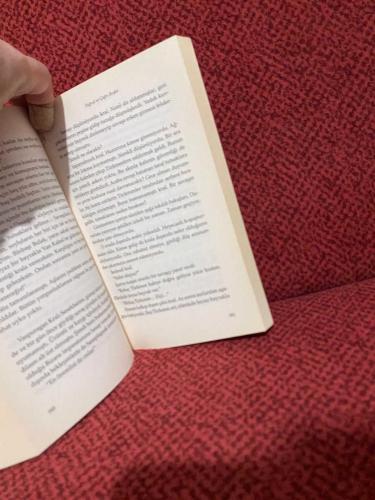 TUĞRUL VE ÇAĞRI BEYLER DEVLET YOLUNDA