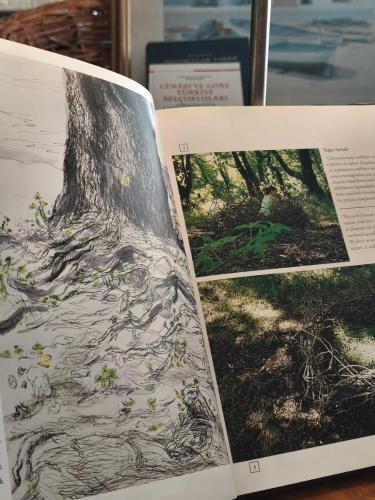 Sığla ormanlarında sanat / Art in Sweetgum Forests : Art for Nature , İlham-Gözlem Teknikleri (İngilizce ve Türkçe - Ciltli Kuşe kağıt Büyük boy)