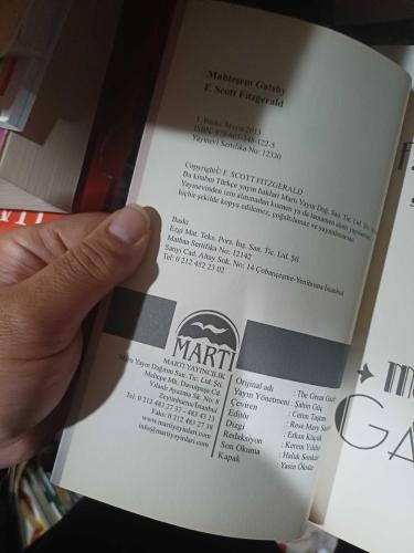 Muhteşem Gatsby