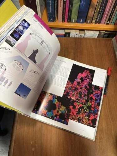 Digital Architecture Now: A Global Survey of Emerging Talent [Hardcover]