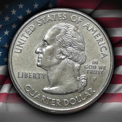 ABD 2004 Yılı ¼ Dolar Texas ÇİL