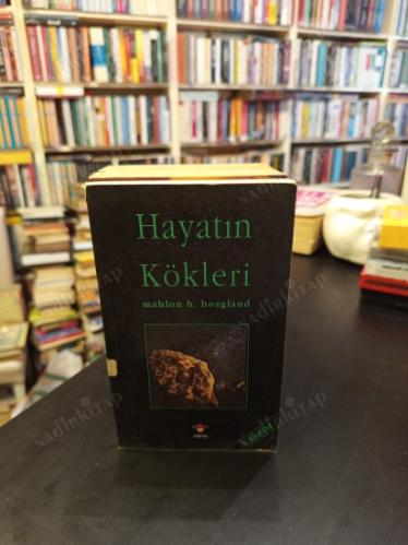 Hayatın Kökleri