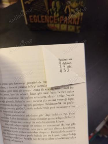Geri Dön Günışığım / Bir Babanın Sevgi ve Deliliğe Dair Öyküsü