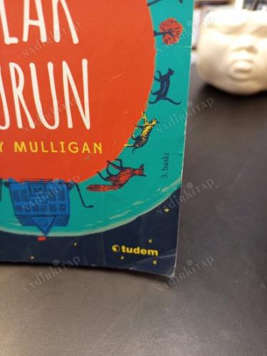 Islak Burun