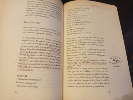 Heilende Berührung - Körper, Seele und Geist mit Jin Shin Jyutsu behandeln (Şifa Dokunuşu - Jin Shin Jyutsu ile Beden, Ruh ve Zihni Tedavi Etmek)