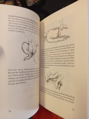 Reiki mit Engeln und Edelsteinen - Lichtvolle Techniken für ursprüngliche Harmonie und allumfassende Liebe (Melekler ve Değerli Taşlarla Reiki)