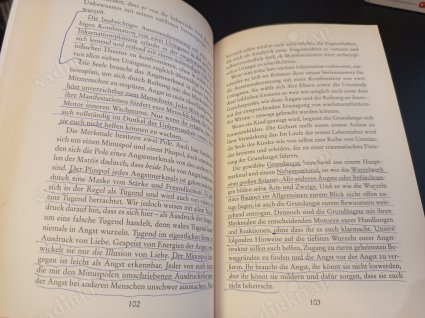 Archetypen der Seele - Die seelischen Grundmuster / Eine Anleitung zur Erkundung der Matrix (Ruhun Arketipleri - Ruhun Temel Kalıpları)