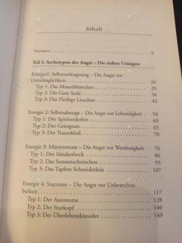 Die sieben Archetypen der Angst - Die Urängste des Menschen erkennen, verstehen und behandeln (Korkunun Yedi Arketipi)