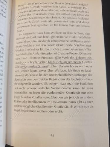Engel, die kosmische Intelligenz (Melekler, Kozmik Zekâ)