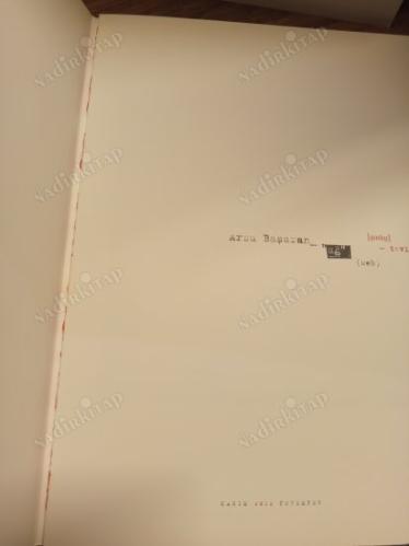 Arzu Başaran Ağ / Web 6 Kasım - 6 Aralık 2012 (Sergi Kataloğu)