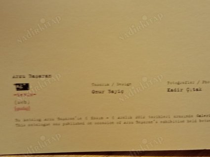 Arzu Başaran Ağ / Web 6 Kasım - 6 Aralık 2012 (Sergi Kataloğu)