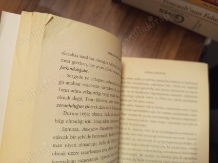Spinoza'nın Tao'su - Akıllı İnançtan İnançlı Akla