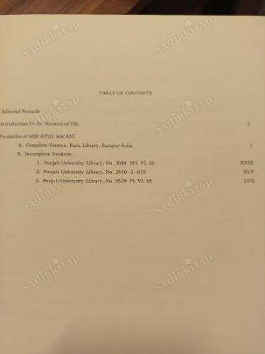 Shaikh Jamali Dihlavi Masnawi Mir'atul Ma'ani : Mir'atül - Ma'ani Mesnevisi (Sources of Oriental Languages and Literatures 8)