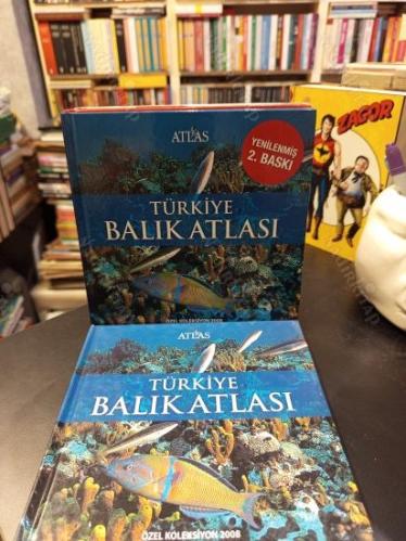 Türkiye Balık Atlası (Atlas Özel Koleksiyon 2008)