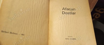 Afacan Dostlar - Huckleberry Finn (Ciltli, Şömizli)