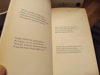 Dörtlükler - Rubailer / Hasan Ali Yücel Klasikleri