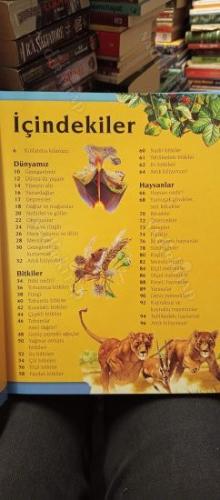 Genç Beyinleri Çalıştıracak Bir Ansiklopedi - Bilmeniz Gereken Her Şey (2000'den Fazla Resim)
