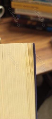 Ay ve Işıklar (2013 Man Booker Ödülü)