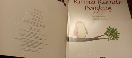 Kırmızı Kanatlı Baykuş (Ciltli)