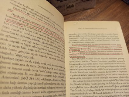 Düşüncenin Kökeni - Beynimiz Nasıl Çalışır?
