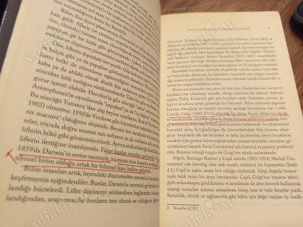 Düşüncenin Kökeni - Beynimiz Nasıl Çalışır?