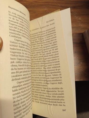 Beynimizin Besinleri - Düşünce Yazıları