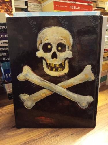 How I Became a Pirate (Hardcover)