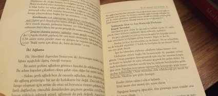 Mesnevi'den Hikmet ve Hikayelerle Mevlana Konuşuyor