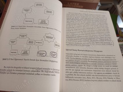 Terapistler ve Danışmanlar İçin Sokratik Sorgulama - bilişsel davranışçı terapist gibi düşünmeyi ve müdahaleyi öğrenin