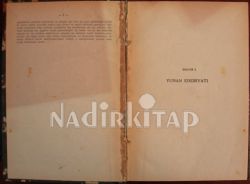 YUNAN EDEBİYATI