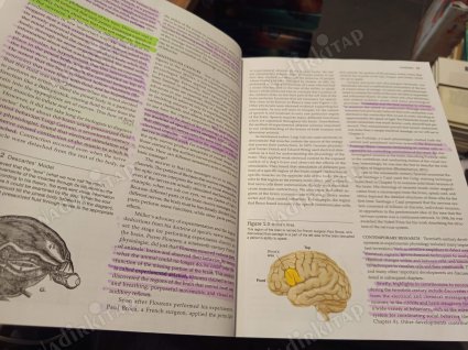 Physiology Of Behavior - Twelfth Edition