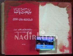 Midhat Paşa Hayat-i Siyasiyesi, Hidemâtı, Menfa Hayatı