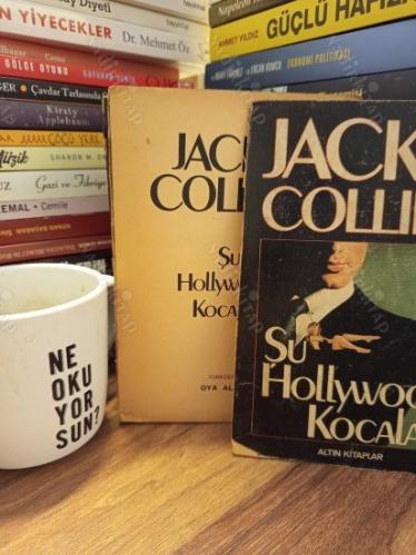 Şu Hollywood Kocaları
