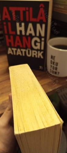 Sırtlan Payı